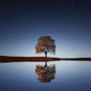 Meet your Posher, Ali